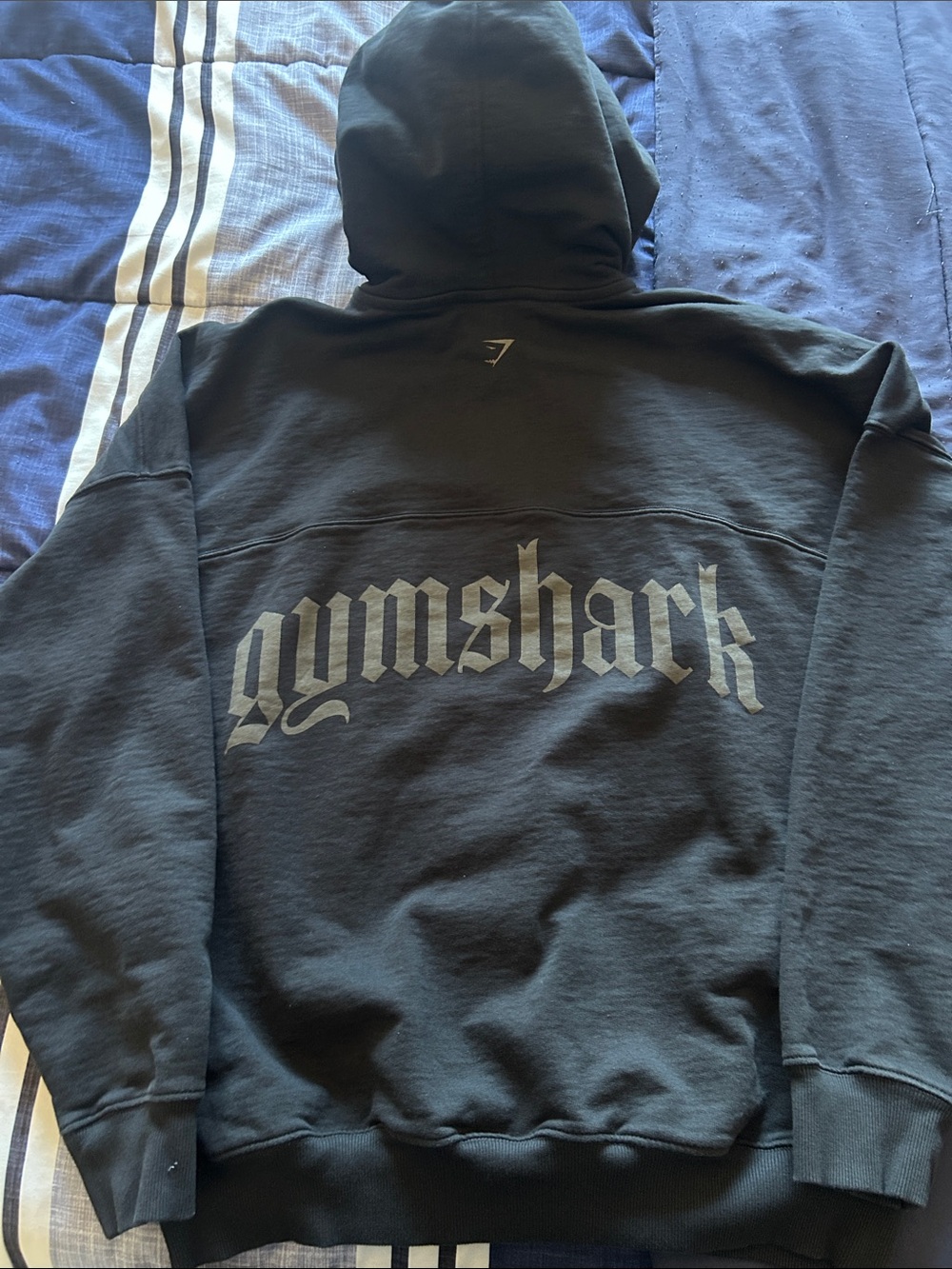 Gymshark Hoodie with Back Center Logo